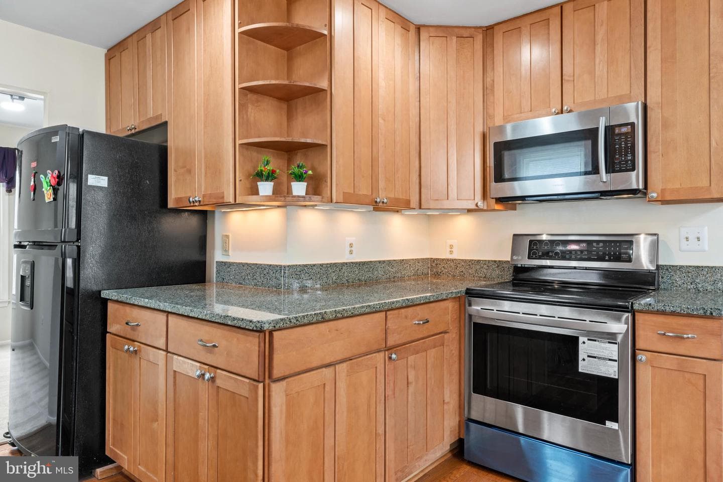 9920 Kingsbridge Drive photo 9