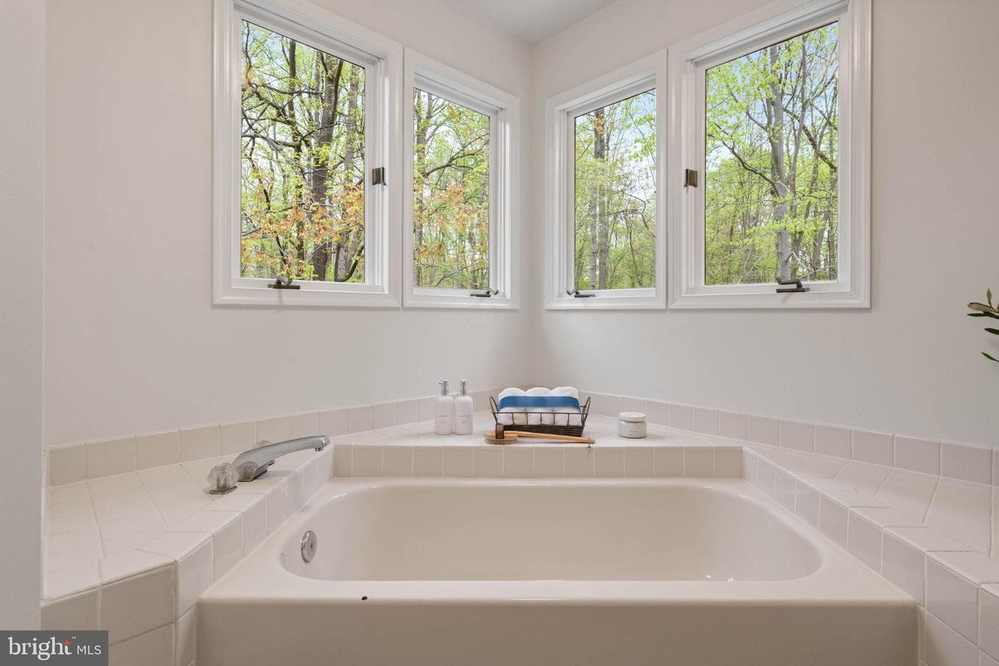 10608 Winslow Drive photo 18