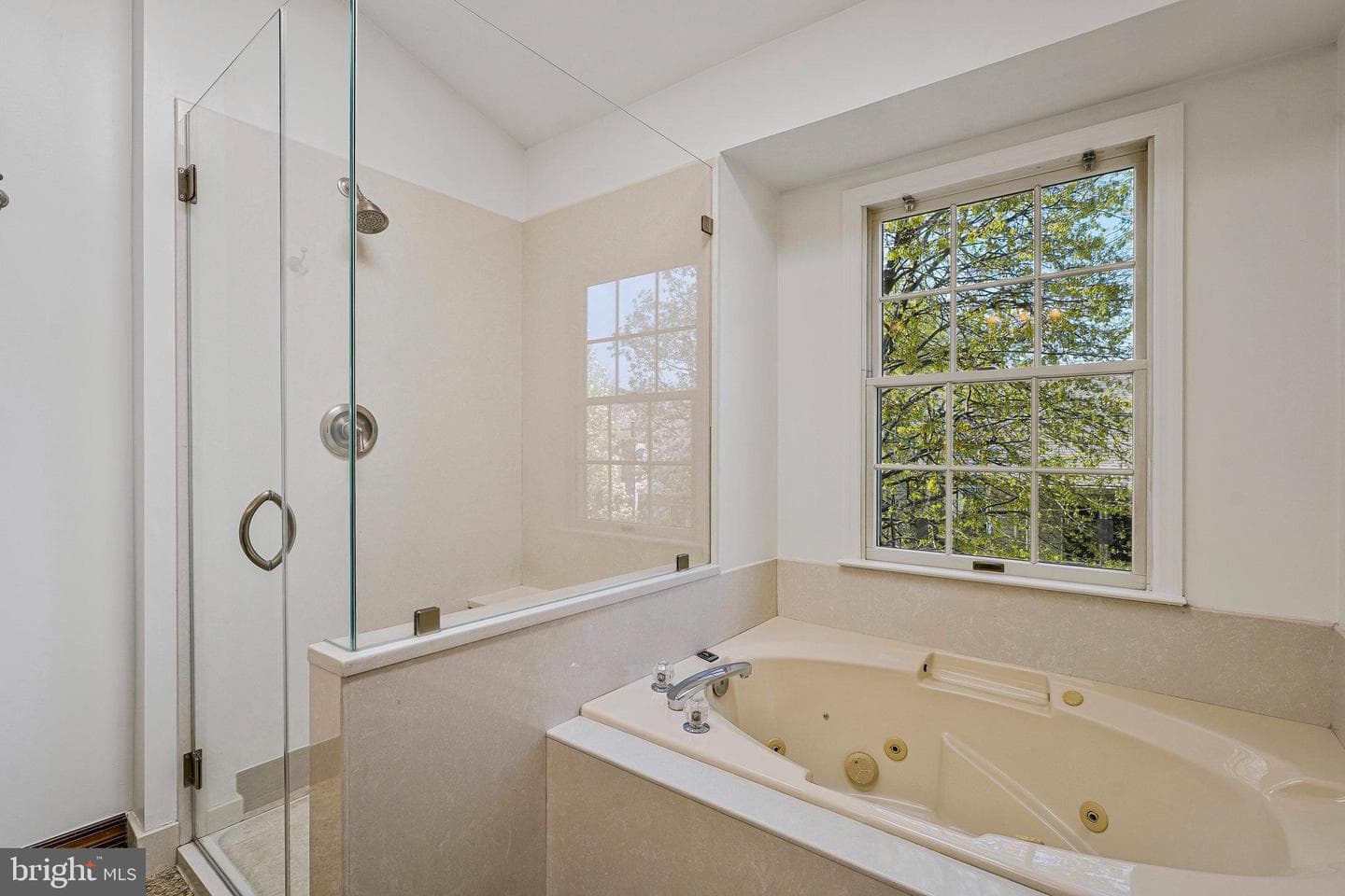 6556 Antrican Drive photo 22