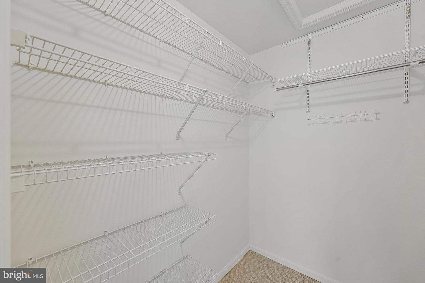 6556 Antrican Drive photo 23