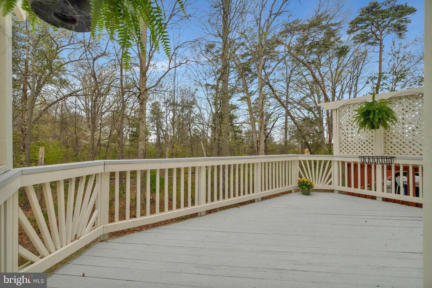 13691 Saint Johns Wood Place photo 2
