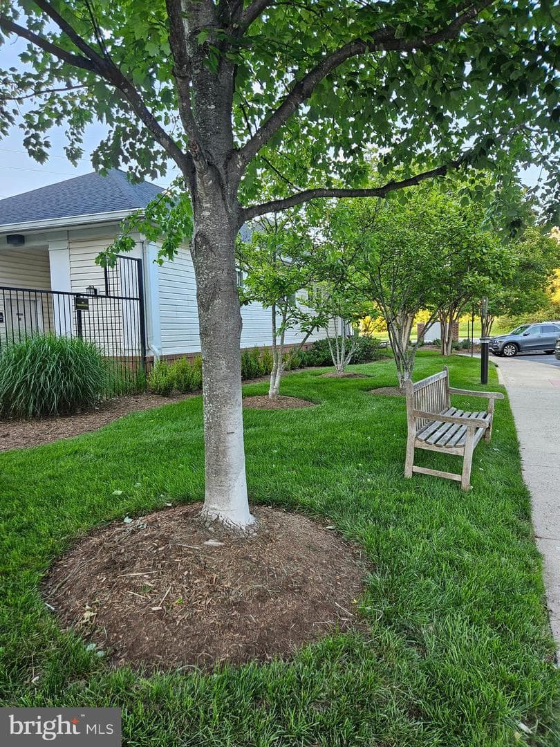 3810 Lightfoot Street #302 photo 28