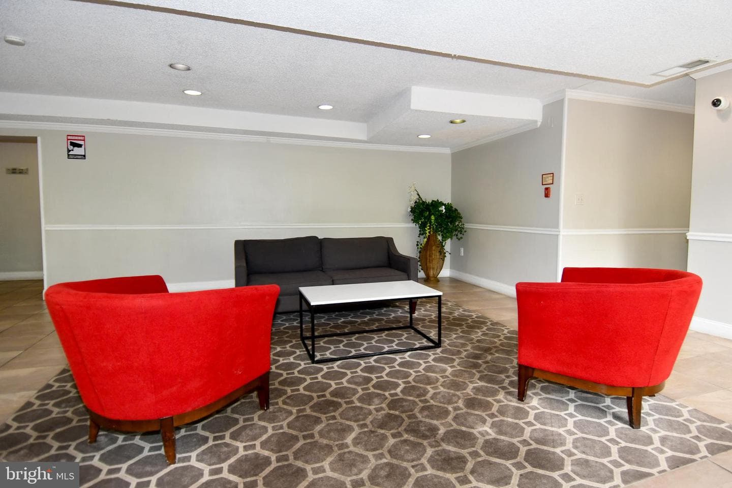 6137 Leesburg Pike #101 photo 3