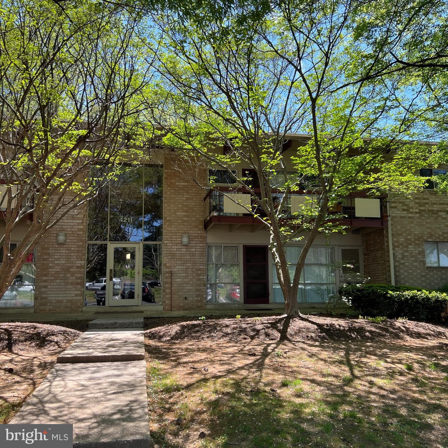 4211 Americana Drive #204 photo 2