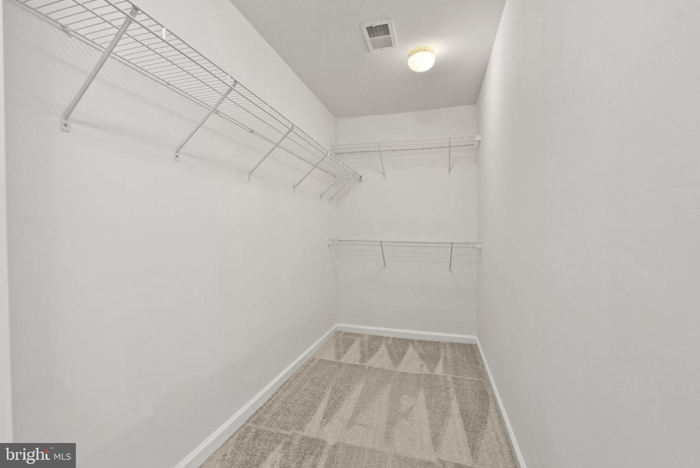 8483 Hallie Rose Street photo 12