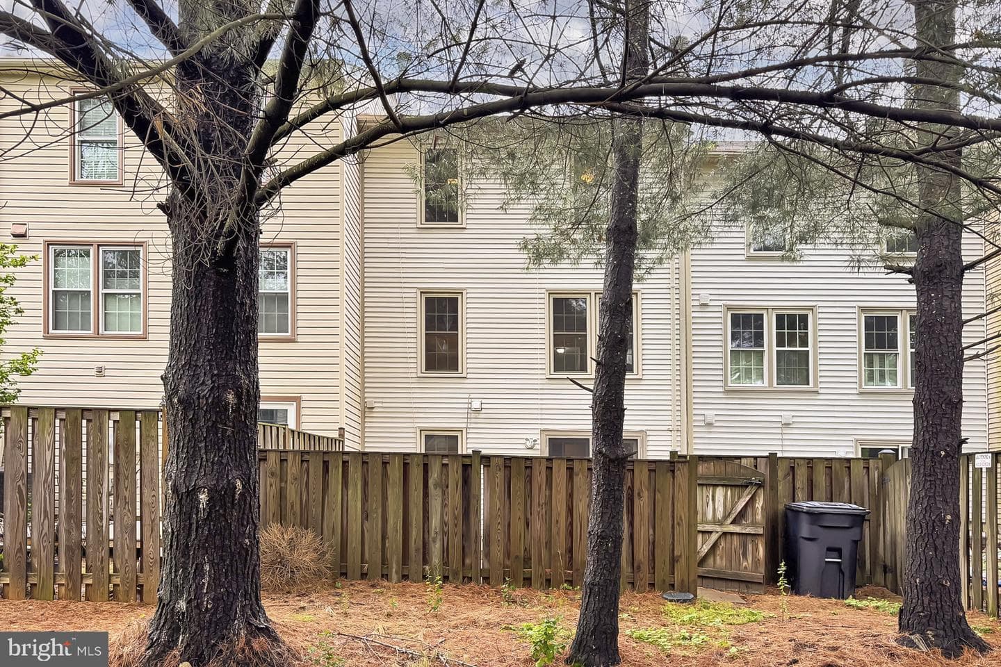 10317 Colony Park Drive photo 28