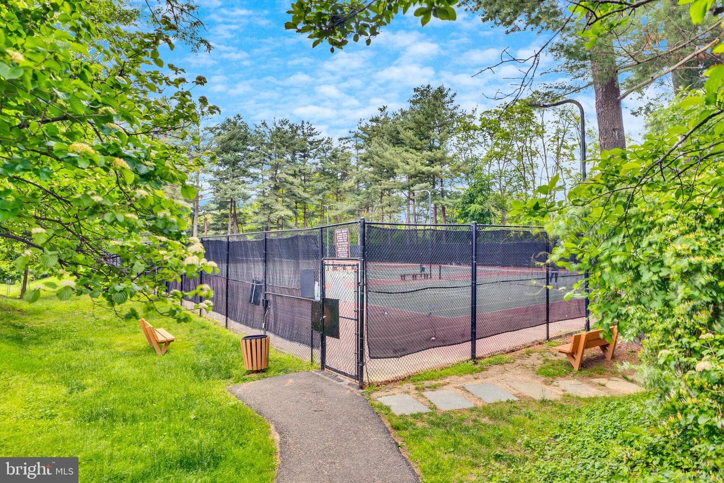 10062 Wood Sorrels Lane photo 30