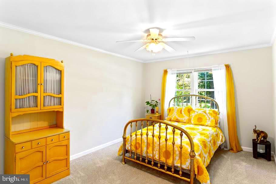 10728 Zion Dr photo 12