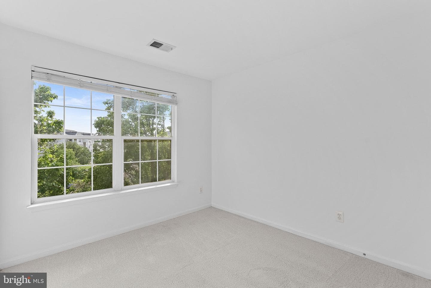2505 Wheat Meadow Court photo 50