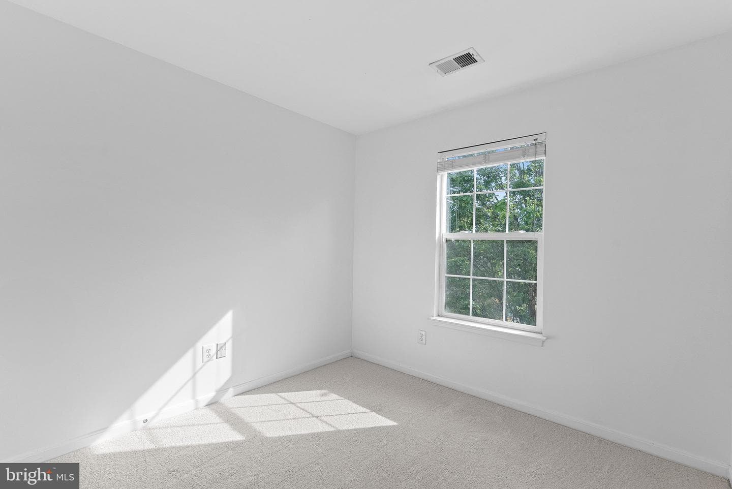 2505 Wheat Meadow Court photo 52