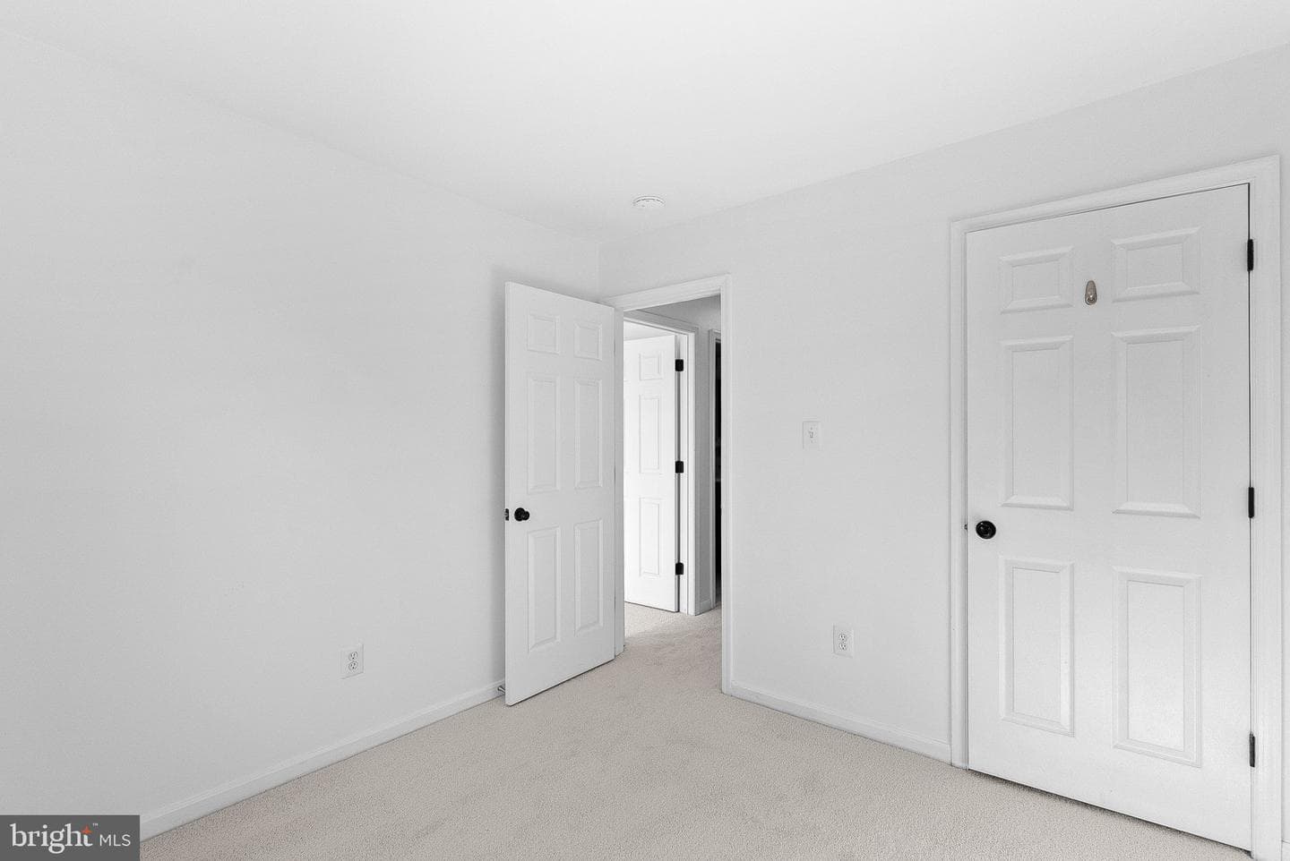 2505 Wheat Meadow Court photo 53
