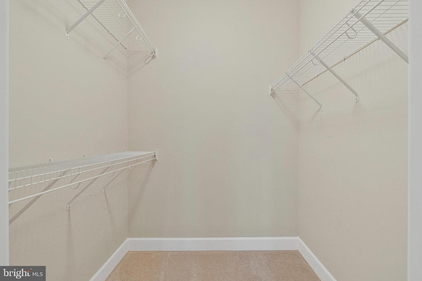 109 Anthem Avenue photo 20