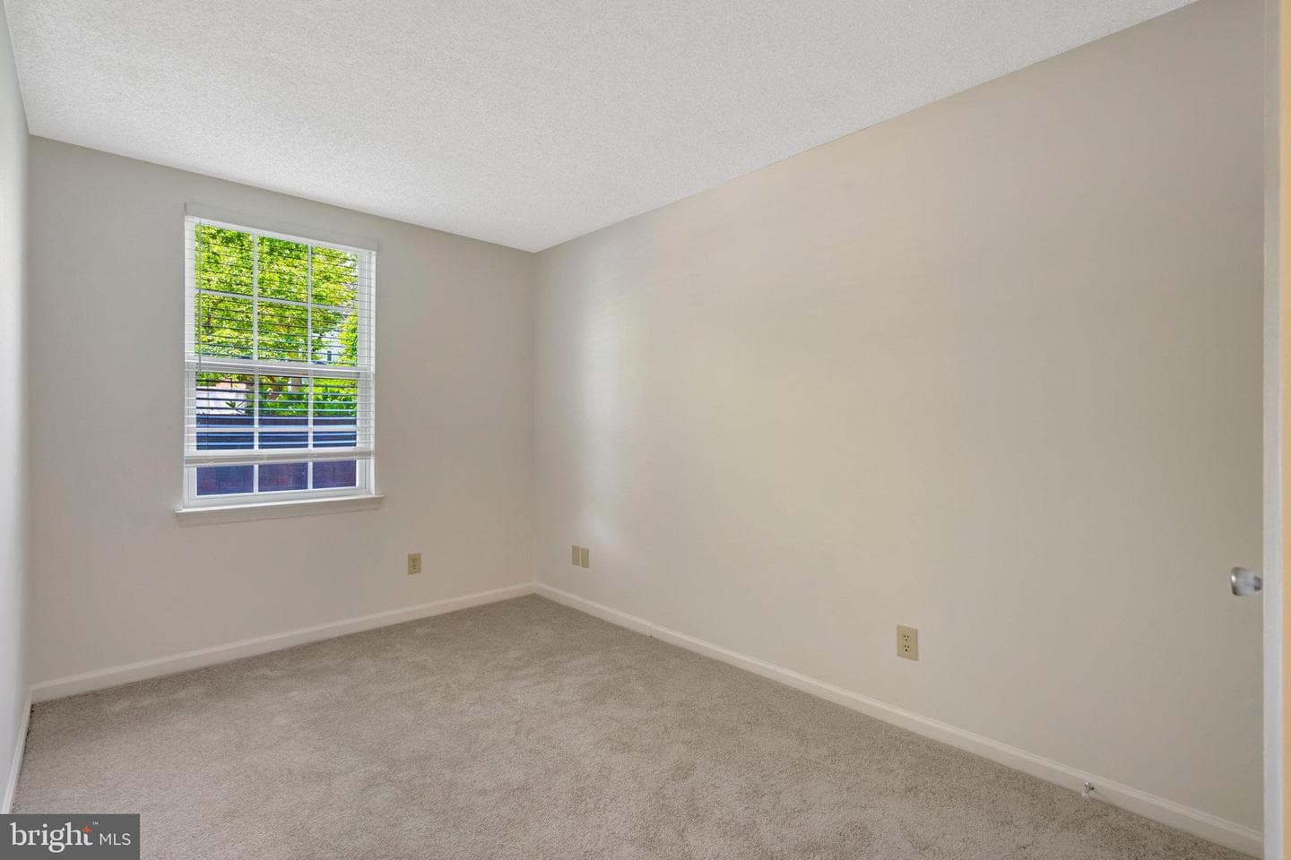 12106 Green Leaf Court #102 photo 7