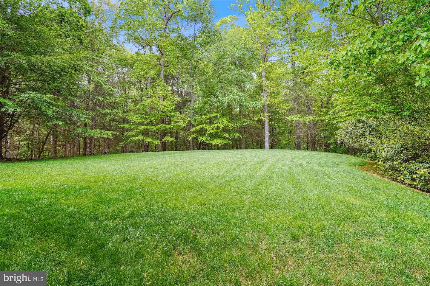7517 Lees Farm Road photo 12