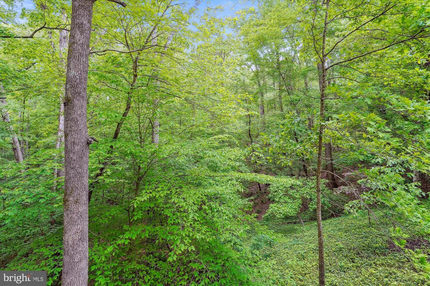 7517 Lees Farm Road photo 44