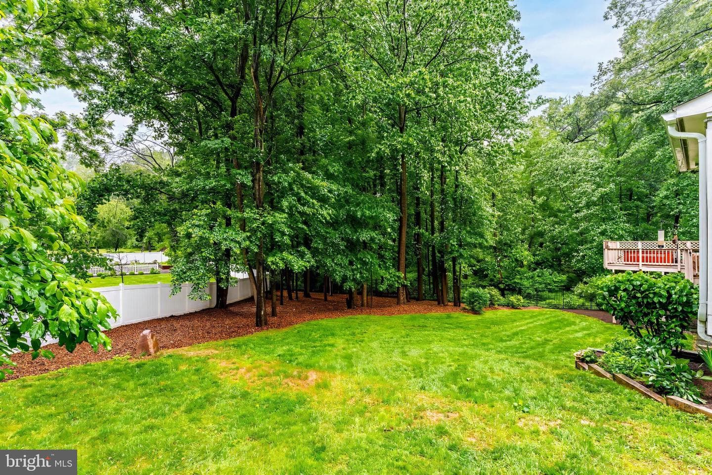 11709 Pine Tree Drive photo 23