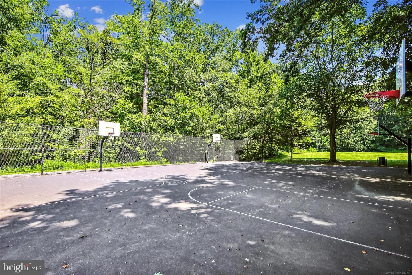 5420 Eastbourne Drive photo 49