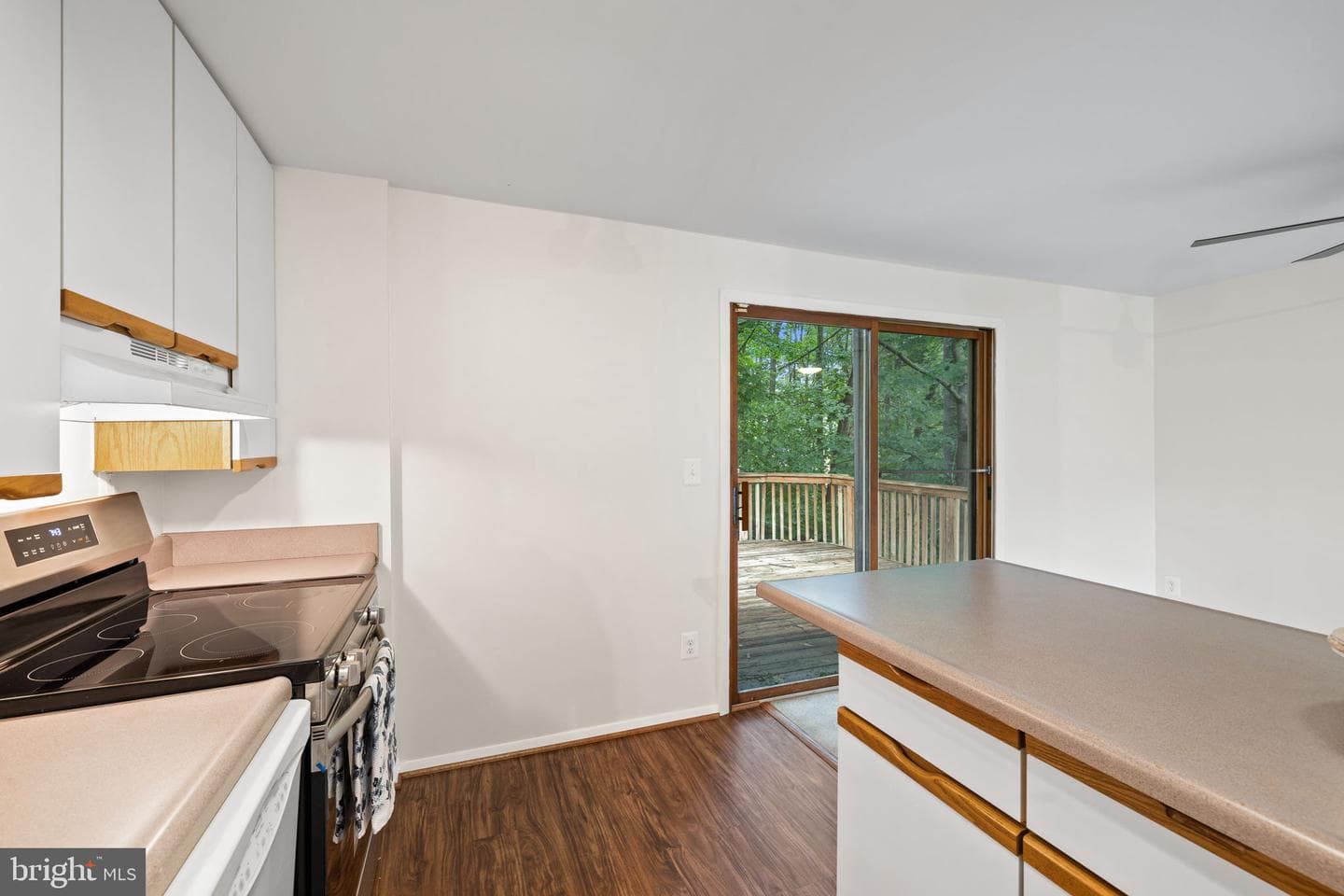 10729 Freds Oak Court photo 6