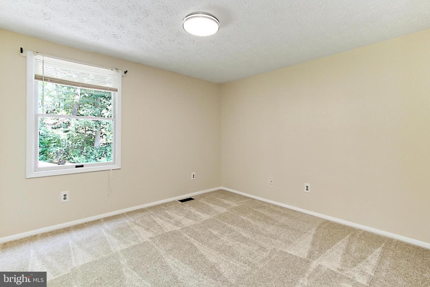 5509 Yellow Rail Court photo 28