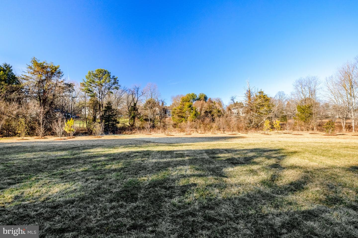 1002 Springvale Road photo 70