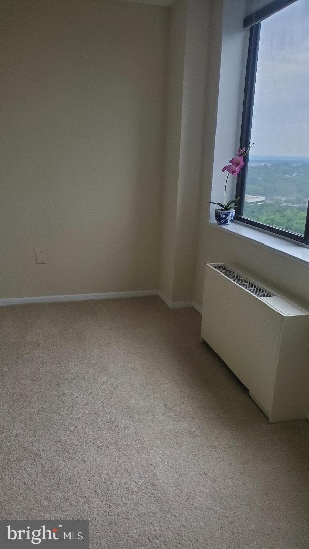 3705 S George Mason Drive #1311 photo 15