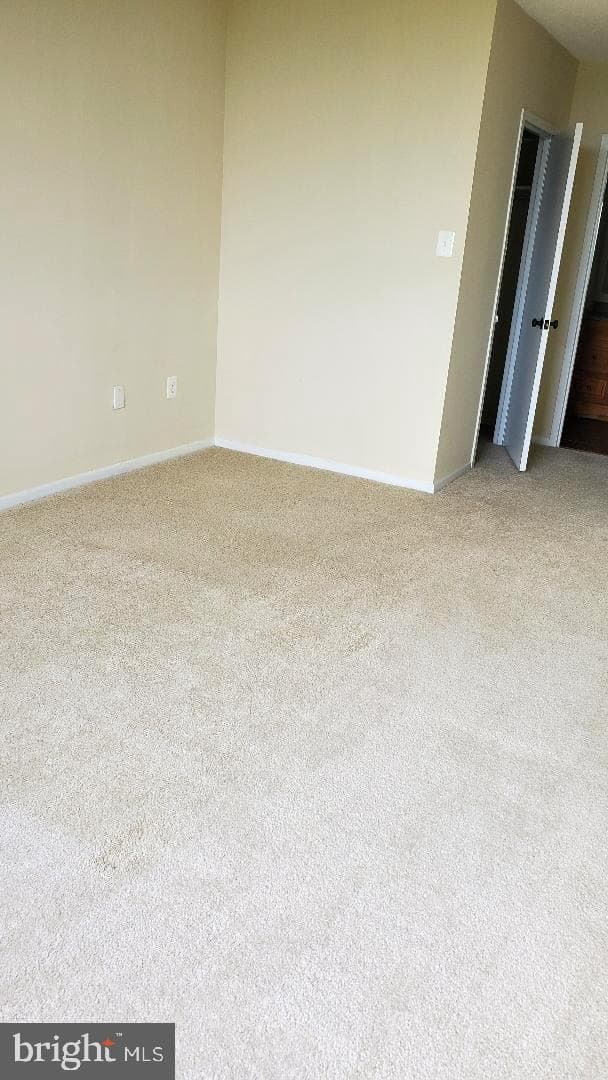 3705 S George Mason Drive #1311 photo 6