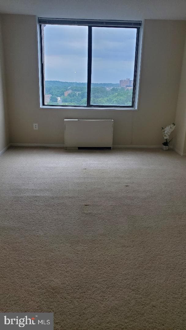 3705 S George Mason Drive #1311 photo 9