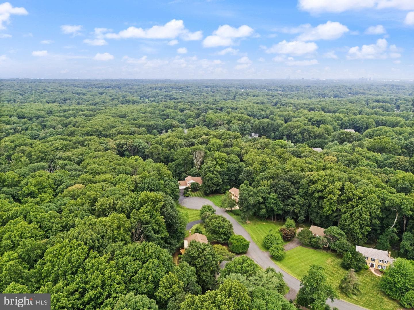 10912 Blue Roan Road photo 105