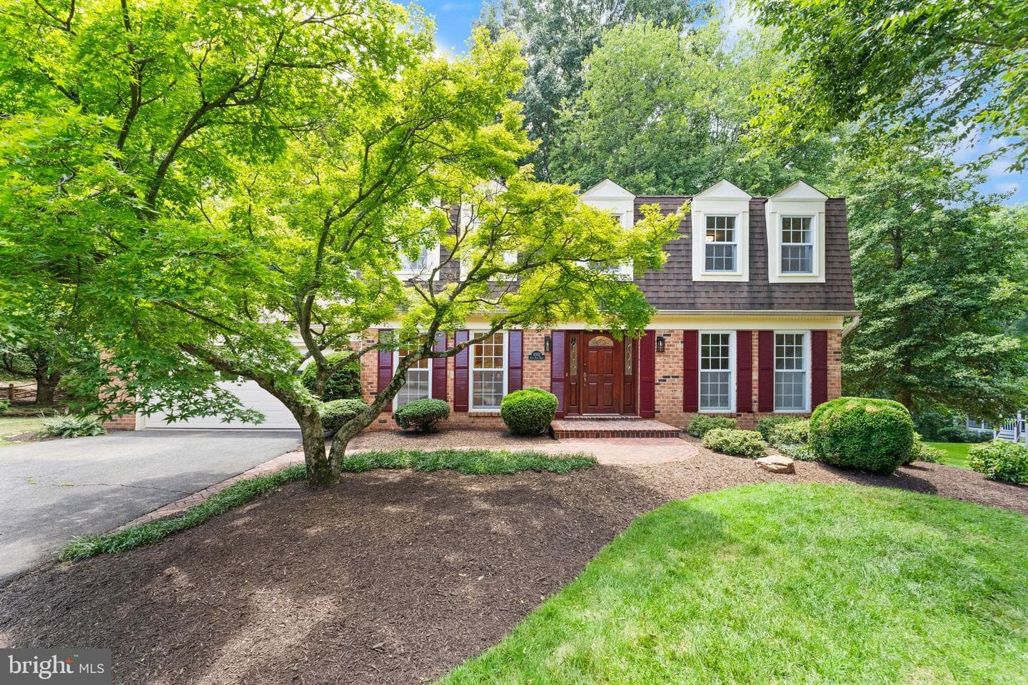 10912 Blue Roan Road photo 3