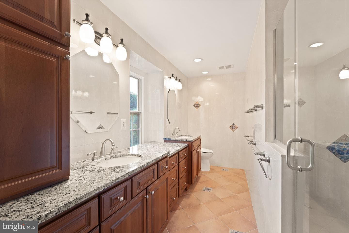 10912 Blue Roan Road photo 46