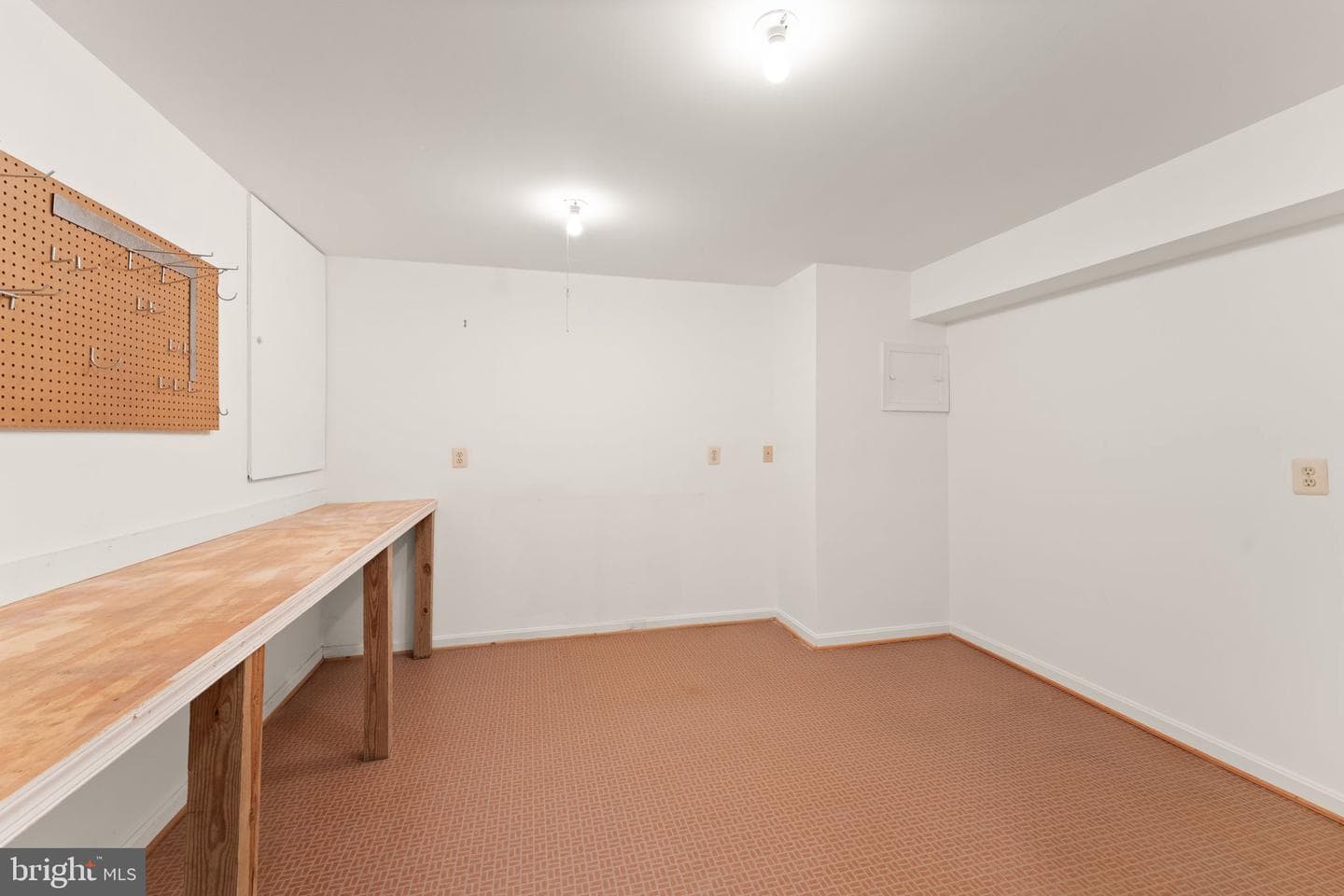 10912 Blue Roan Road photo 75