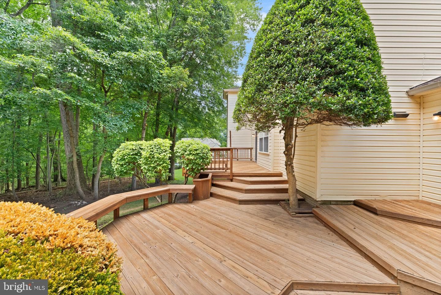 10912 Blue Roan Road photo 85
