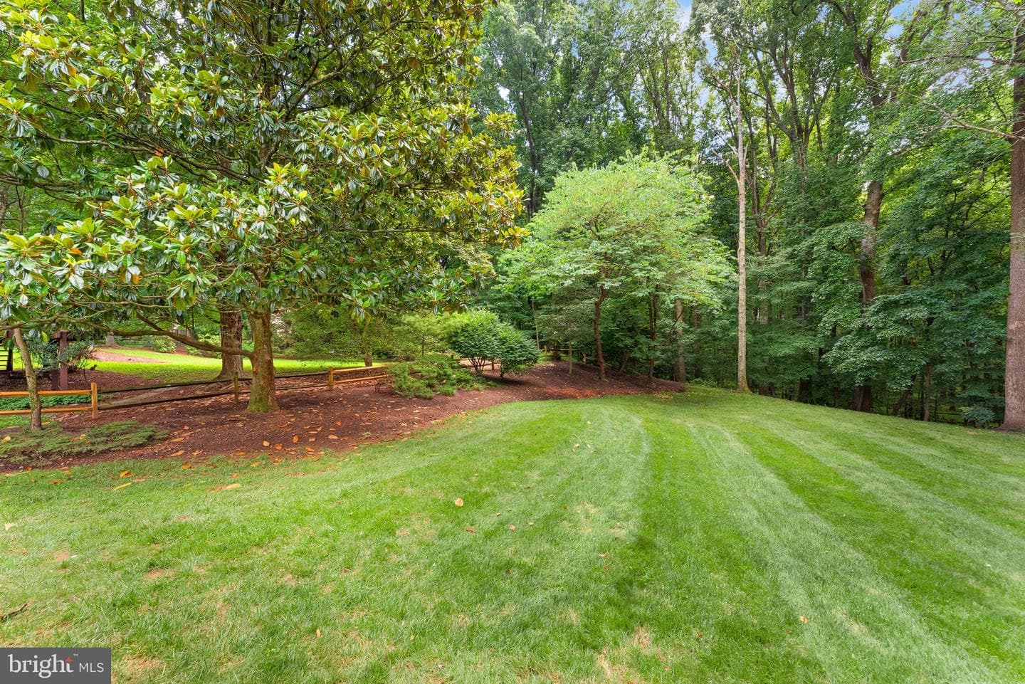 10912 Blue Roan Road photo 92