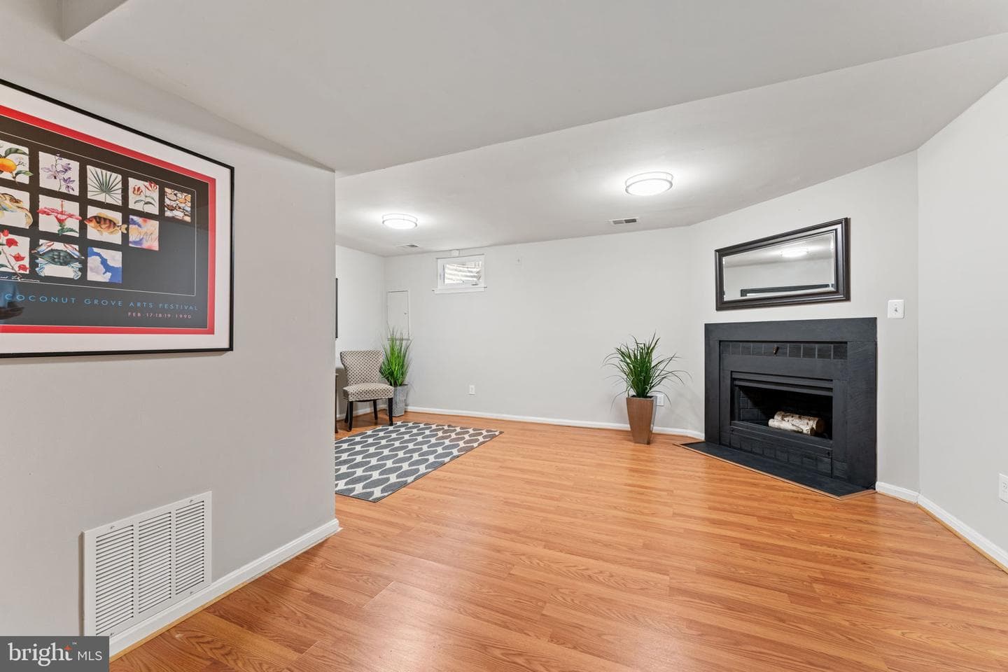 8573 Chester Grove Court photo 28