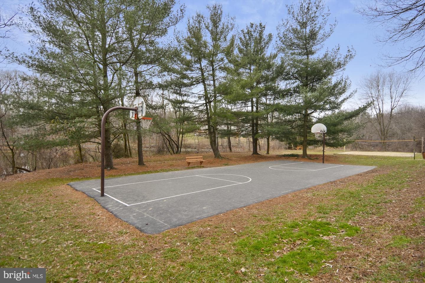 5816 Oak Leather Drive photo 68