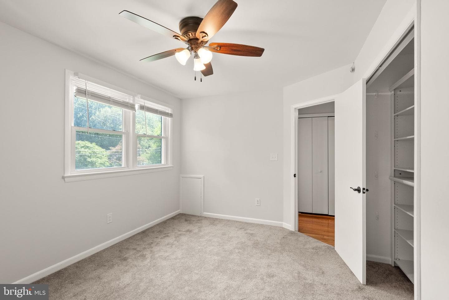 3906 Ivydale Drive photo 53