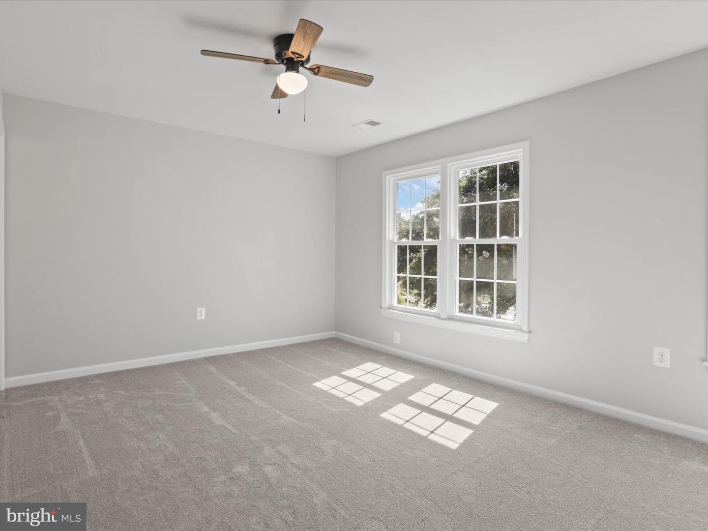 4435 Holly Avenue photo 13