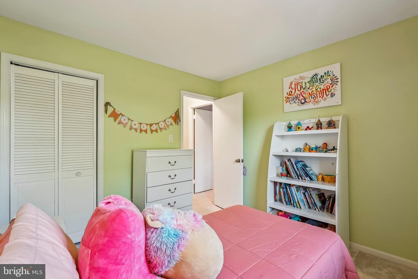 10455 White Granite Court photo 34
