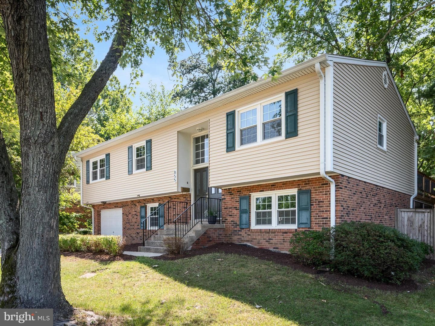 855 Park Avenue photo 3