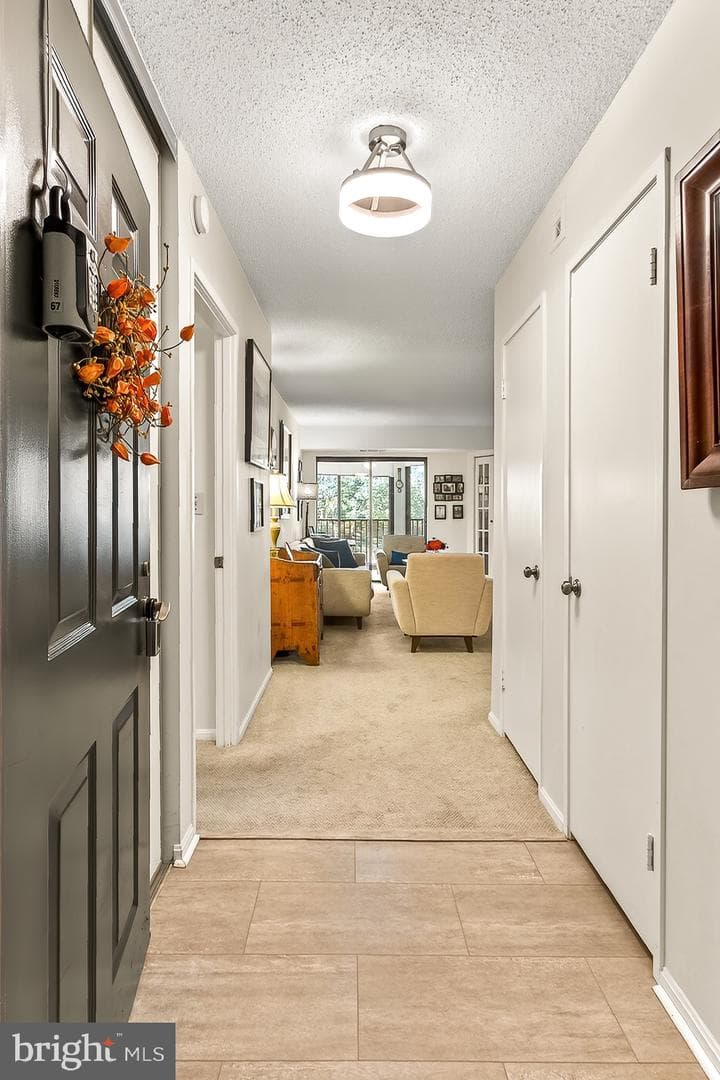 5903 Mount Eagle Drive #303 photo 4