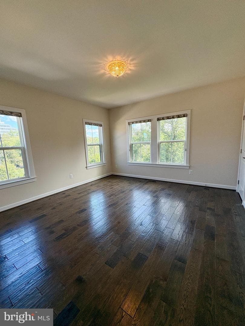 3161 Virginia Bluebell Court photo 32