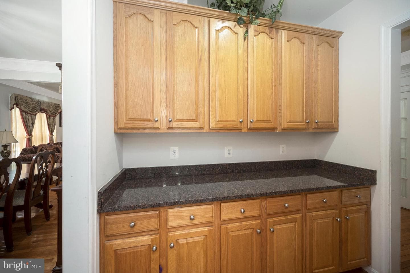8950 Birch Bay Circle photo 8