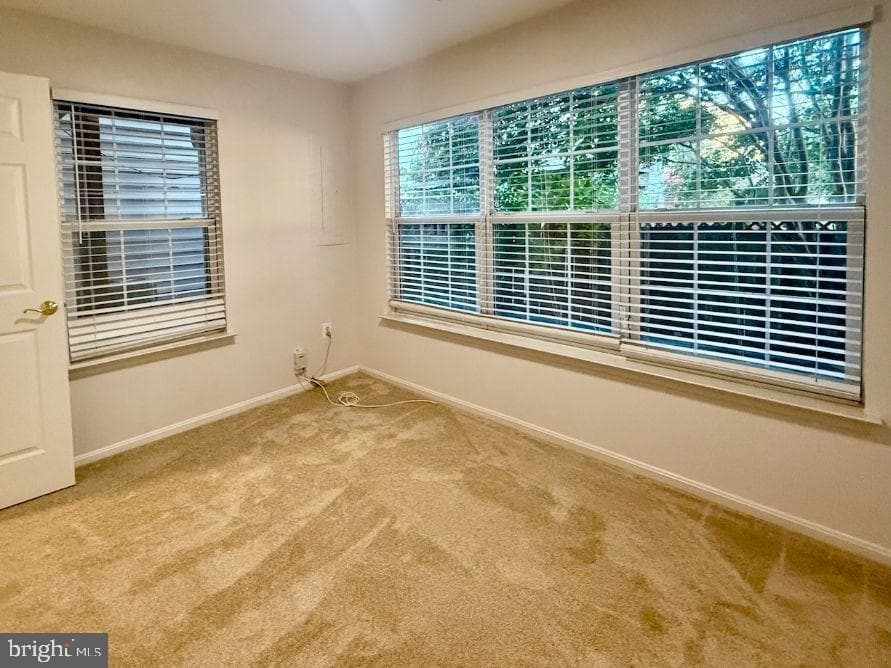 6169 Cinnamon Court photo 33