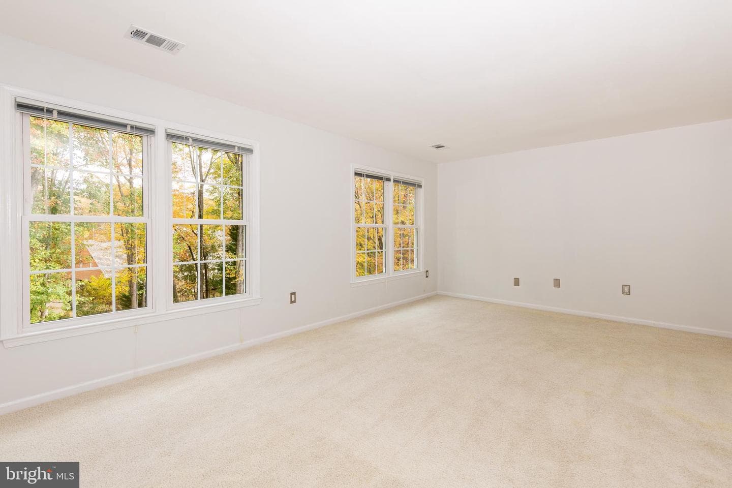 9705 Rambling Ridge Court photo 43
