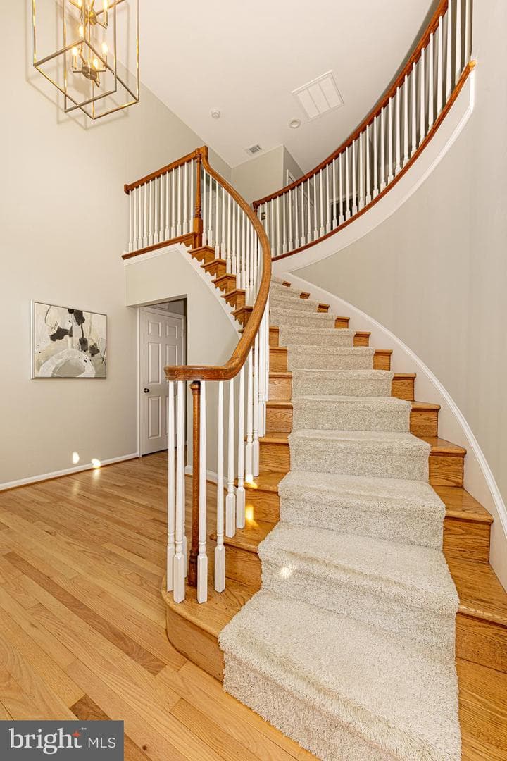 9705 Rambling Ridge Court photo 9