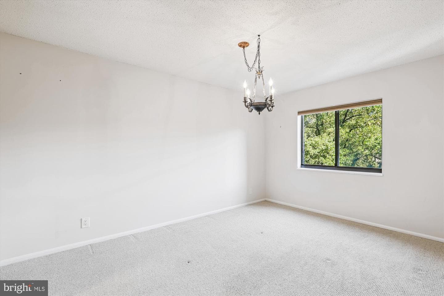 5901 Mount Eagle Drive #516 photo 14