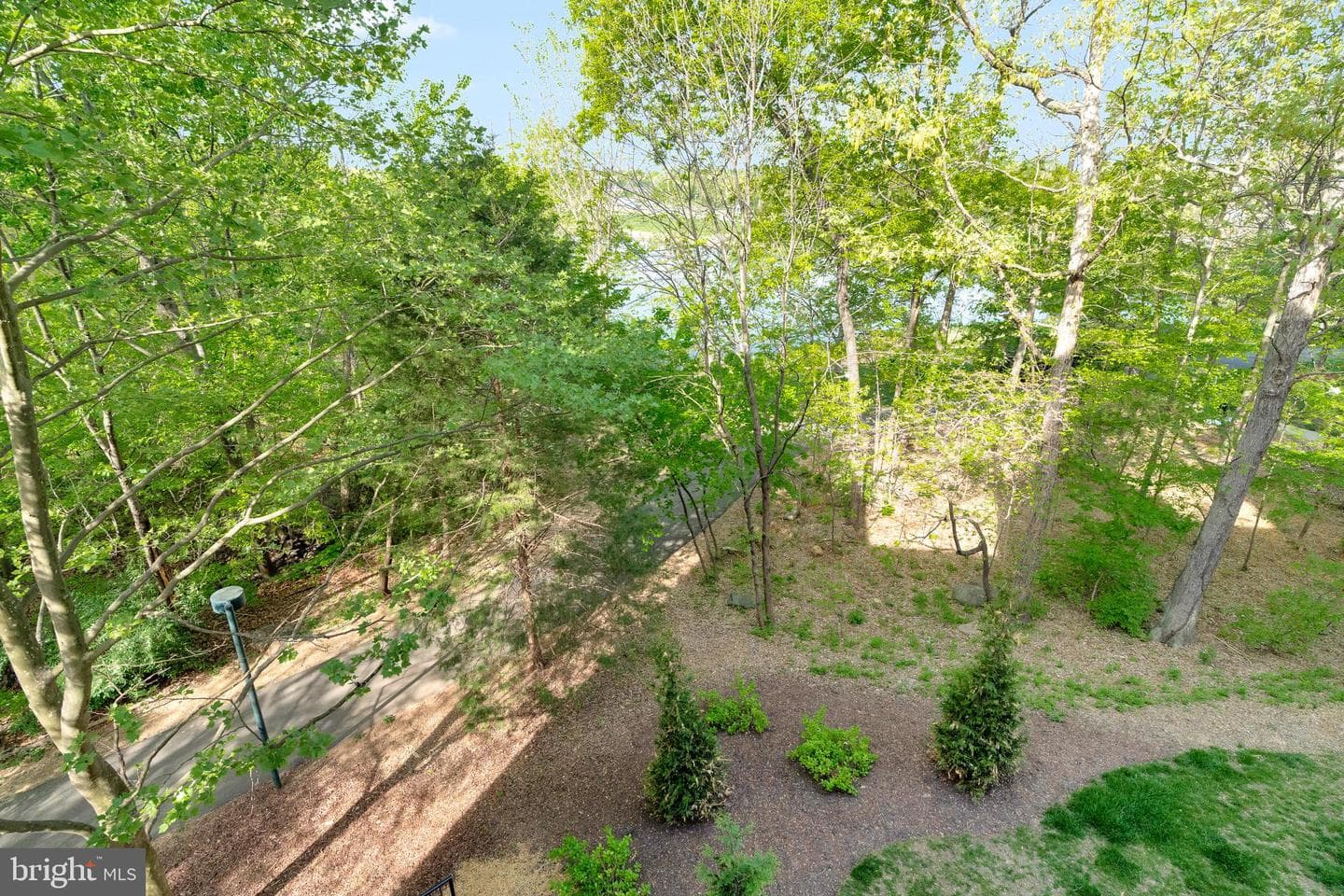 12161 Abington Hall Place #202 photo 40