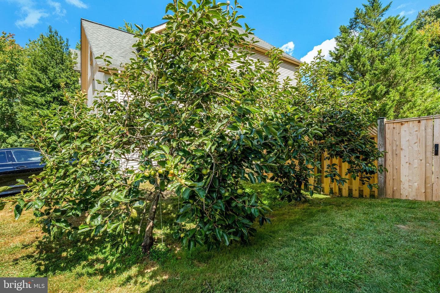5403 Willow Forest Court photo 72