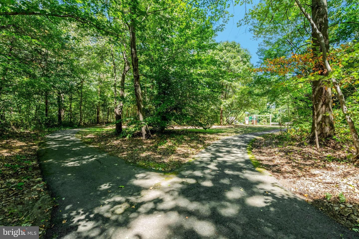 5403 Willow Forest Court photo 83