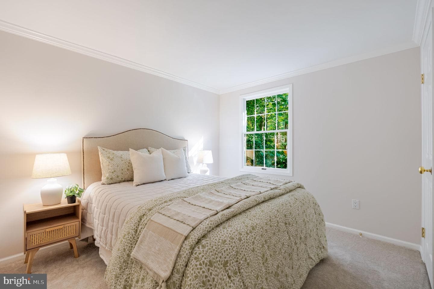11690 Bennington Woods Road photo 36